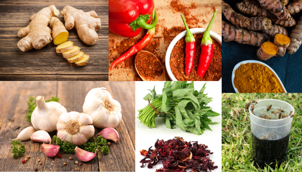 health local foods in nigeria